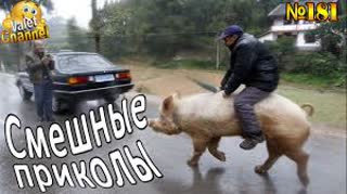 40 САМЫХ НЕЛЕПЫХ МОМЕНТОВ, СНЯТЫХ НА КАМЕРУ #псн