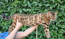 Фотография Плюсниной Елены