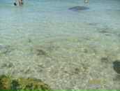 Сергій Копач фотография #33 (источник - https://vk.com/id60304824)