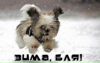 Ника :-) фотография #15 (источник - https://vk.com/id90619297)