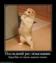 Саня Каледін фотография #5 (источник - https://vk.com/id158033754)