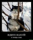 Ігор Пилипчук фотография #26 (источник - https://vk.com/id106590866)