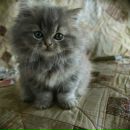 Фотография Матвеевой Дарьи