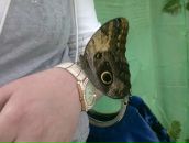 Фотография Ровинской Анны