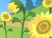 Владік Когутич фотография #10 (источник - https://vk.com/id123054268)