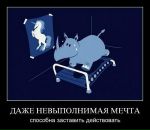 Kristina Sinitsyna фотография #34 (источник - https://vk.com/id604541)