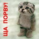 Фотография .... $$севыч$$