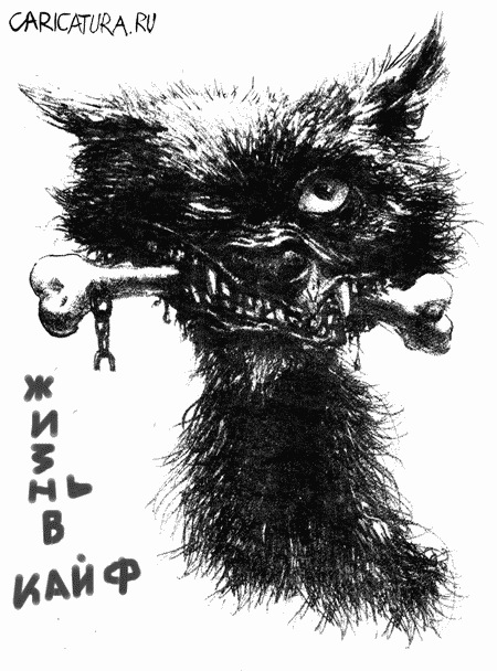 Тимур Ленг фотография #34