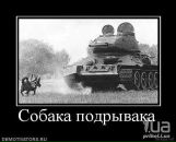 Віталік Вольт фотография #28 (источник - https://vk.com/id2228781)