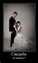Fan V+g фотография #2 (источник - https://vk.com/id68671587)