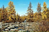 Фотография Савченко Маргариты