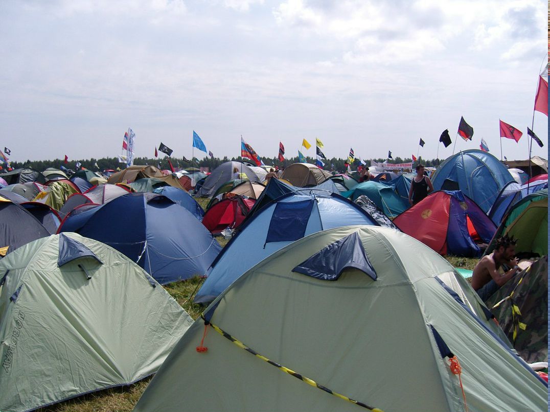 Дарья Гришанова фотография #37