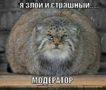 Софрон Горохов фотография #34 (источник - https://vk.com/id4935271)