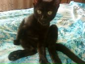 Фотография Фролова Романа