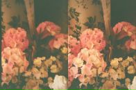 Different Lines фотография #11 (источник - https://vk.com/id89656317)