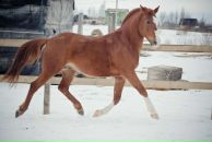 Фотография Голубевой Екатерины