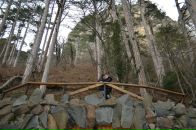 Дмитрий Григорьев фотография #38 (источник - https://vk.com/id7639671)