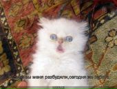 Фотография Зяблов Евгений