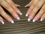 Олеандр Синий фотография #36 (источник - https://vk.com/id261522)