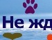 Андрій Савчук фотография #2 (источник - https://vk.com/id156084817)