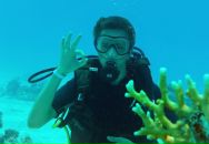 Фотография Spark Дениса