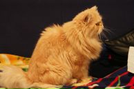 Дмитрий Иванов фотография #48 (источник - https://vk.com/id1759368)