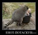 Lera Kittichka :) фотография #42 (источник - https://vk.com/id82505581)