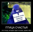 Фотография Шакмаева Радика