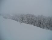 Міша Цубера фотография #10 (источник - https://vk.com/id57392013)