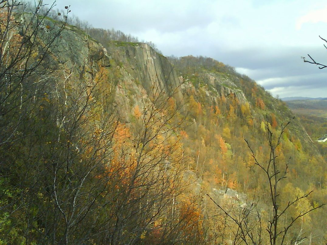 Вася Лушков фотография #22