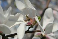 Юлія Саріна фотография #10 (источник - https://vk.com/id77977367)