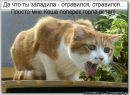 Коля Завінський фотография #26 (источник - https://vk.com/id80019342)