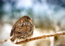 Дима Олифер фотография #21 (источник - https://vk.com/id16142868)