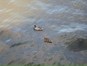 Фотография Колосовой Ольги