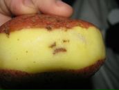 Фотография Прудниковой Анастасии