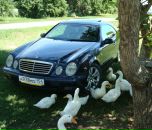 Фотография Харченко Константина