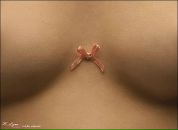 Фотография Кокшарской Елены