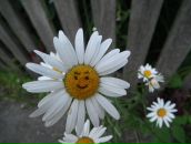 Фотография Марахиной Ксении