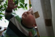 Фотография Шевченко Ирины