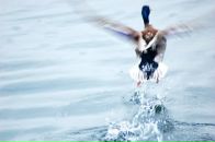 Фотография Гаврилюк Даны