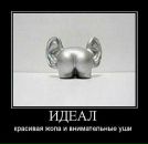 Фотография Туляковой Светланы