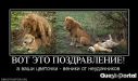  фотография #10