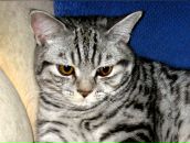 Фотография Суслова Евгения