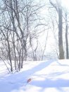 Оксана Баліцька фотография #35 (источник - https://vk.com/id61422379)
