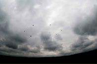 Ваньок Черемісін фотография #6 (источник - https://vk.com/id16954528)