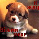 Надюха Андрішак фотография #15 (источник - https://vk.com/id92562413)