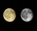 Фотография Дёмшина Дмитрия