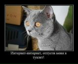 Ігор Паньків фотография #24 (источник - https://vk.com/id71625593)