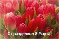 Фотография Терентьевой Светланы