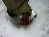 Фотография Устиновой Светланы